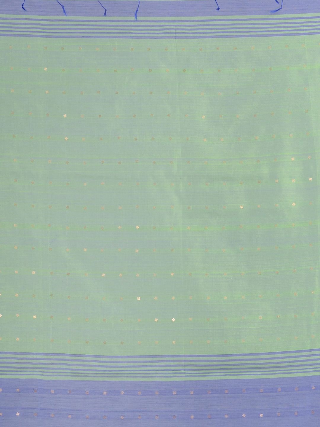 Blue and Green Hand woven Pure Cotton saree with Sequin work